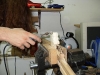 sdc11528_frogresizer75_frogresizer25