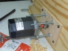 sdc11754_frogresizer75_frogresizer25