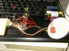 448px-deadbug_soldered_firefly_jar